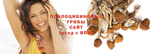 гидра Абинск