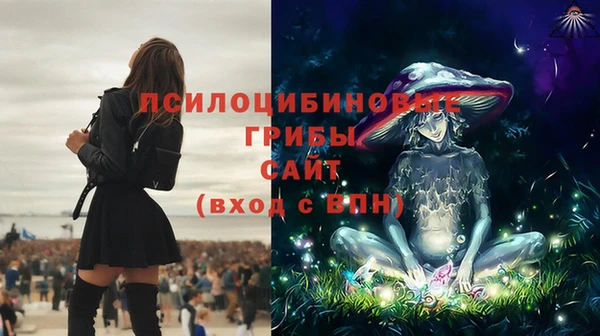 гидра Абинск