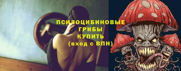 первитин Алексин
