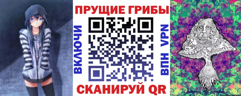 кракен ТОР  Стерлитамак  Галлюциногенные грибы Psilocybe 